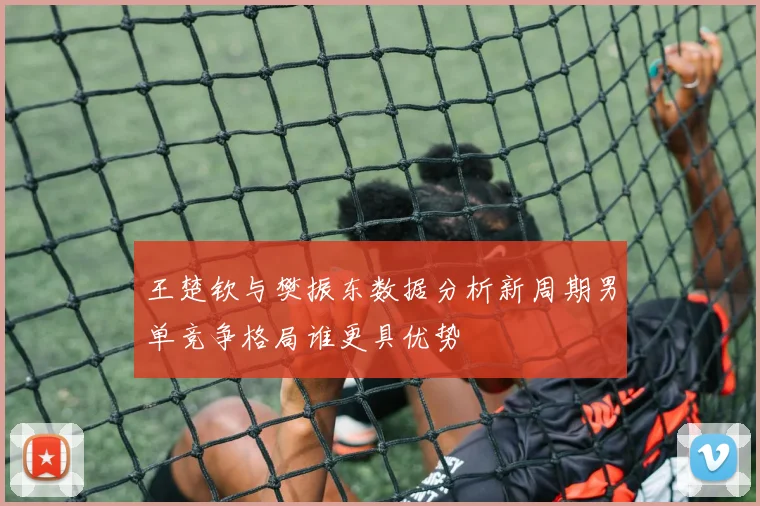 王楚钦与樊振东数据分析新周期男单竞争格局谁更具优势